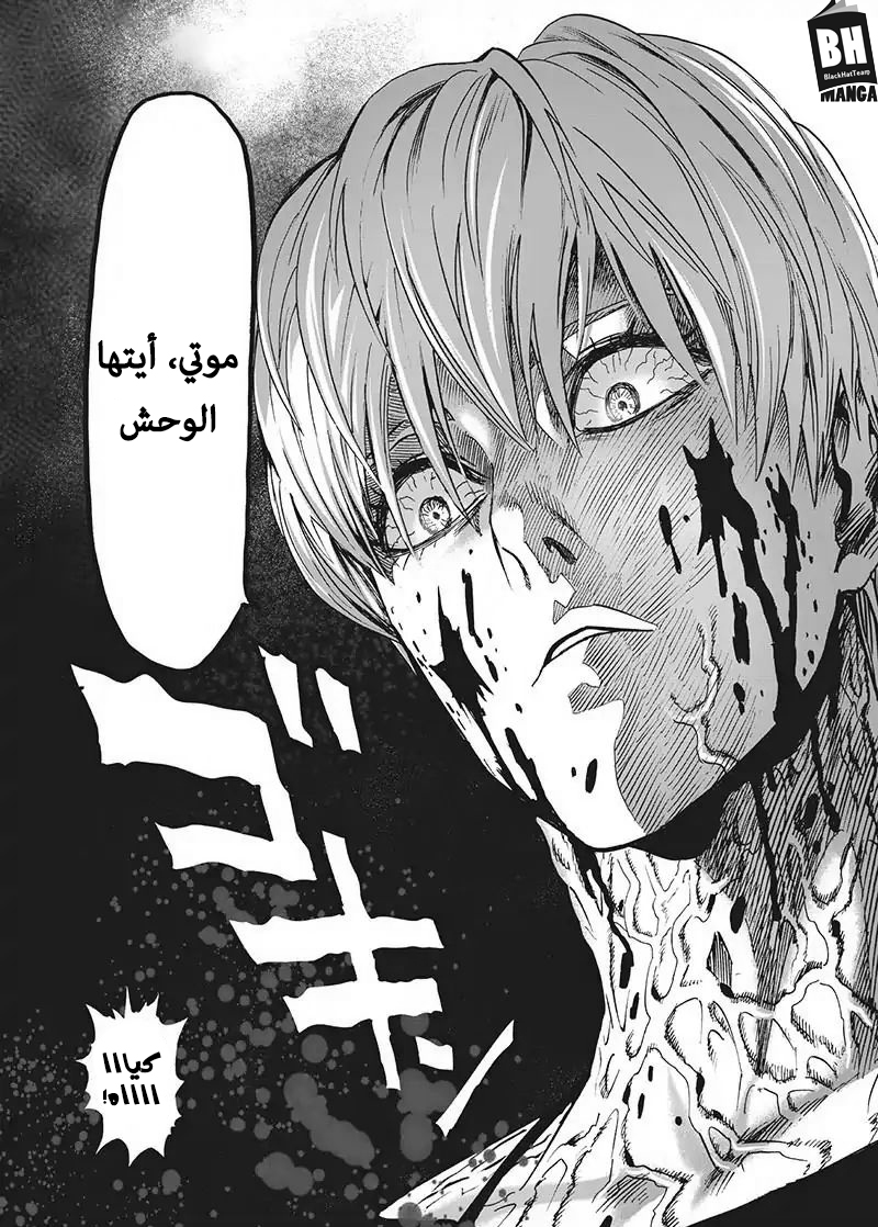 One punch Man: Chapter 103 - Page 13