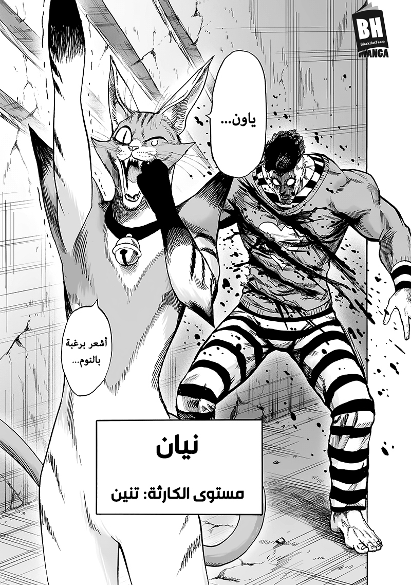 One punch Man: Chapter 105 - Page 27