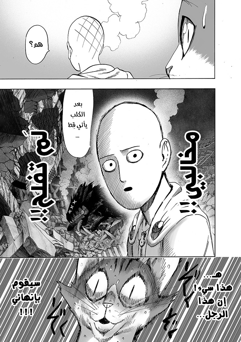 One punch Man: Chapter 106 - Page 29