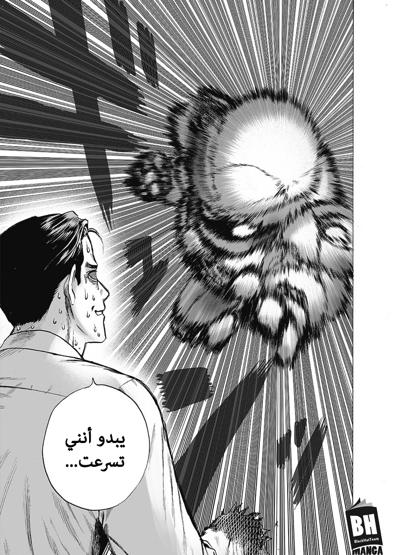 One punch Man: Chapter 119 - Page 24