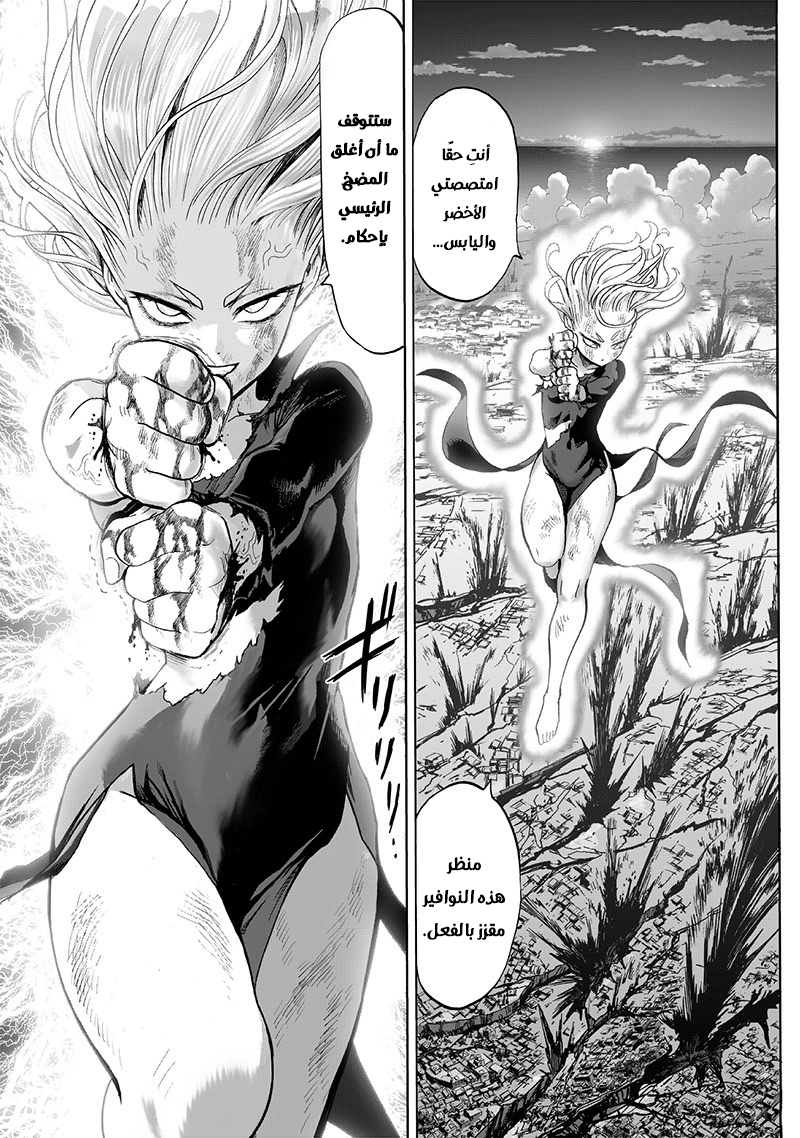 One punch Man: Chapter 134 - Page 26