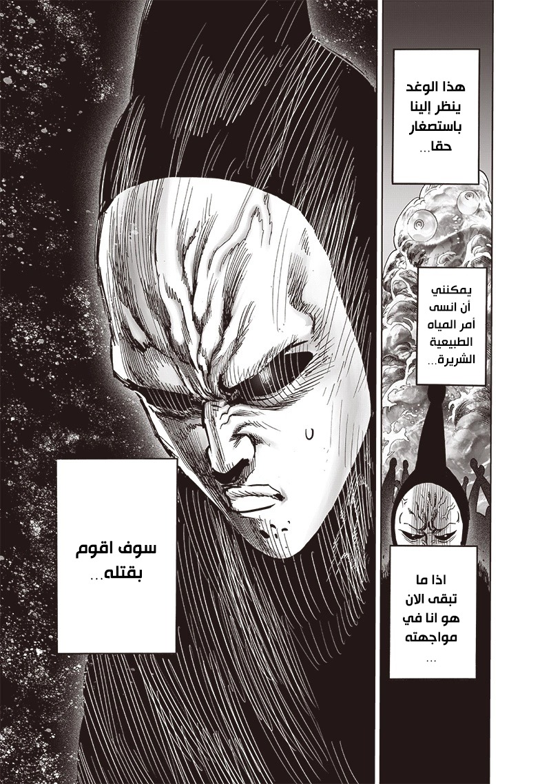 One punch Man: Chapter 152 - Page 24