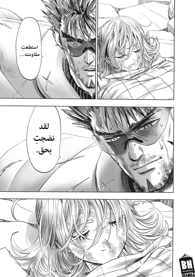 One punch Man: Chapter 156 - Page 28