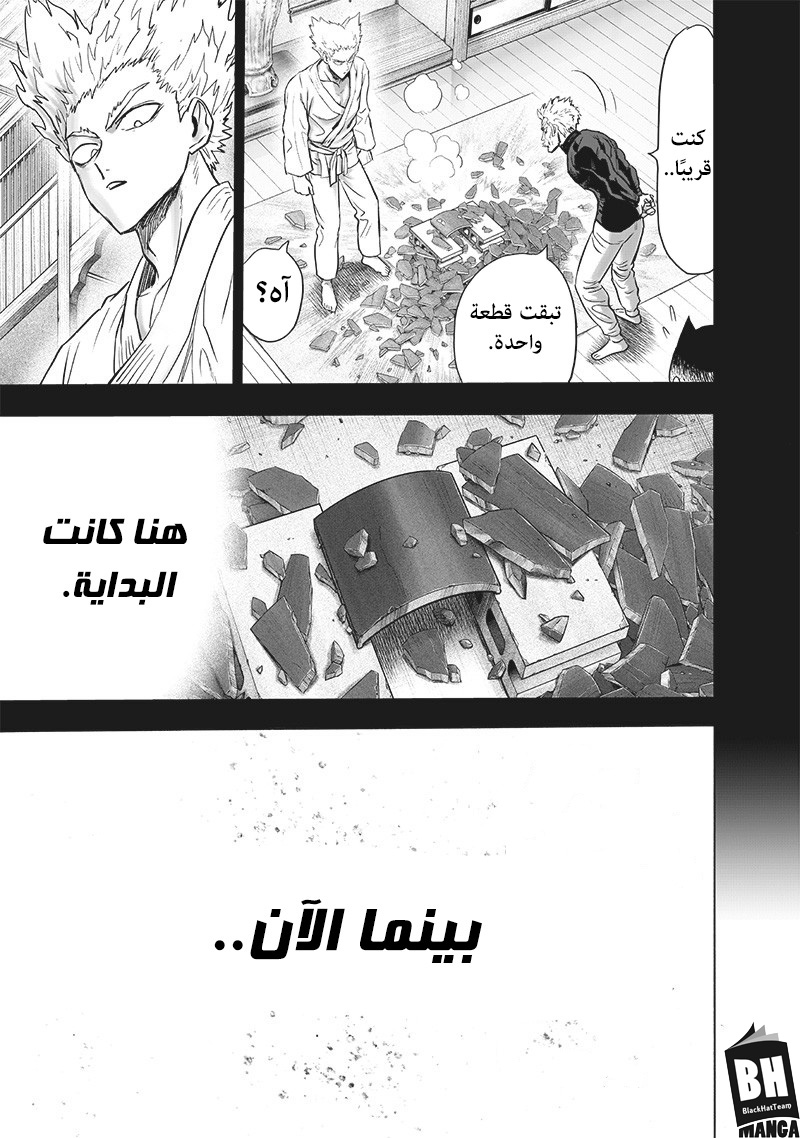 One punch Man: Chapter 159 - Page 16