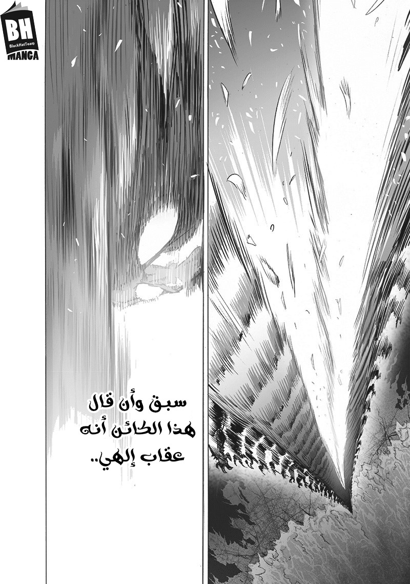 One punch Man: Chapter 159 - Page 20