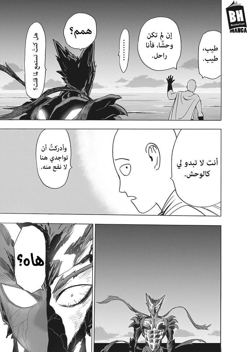 One punch Man: Chapter 161 - Page 14