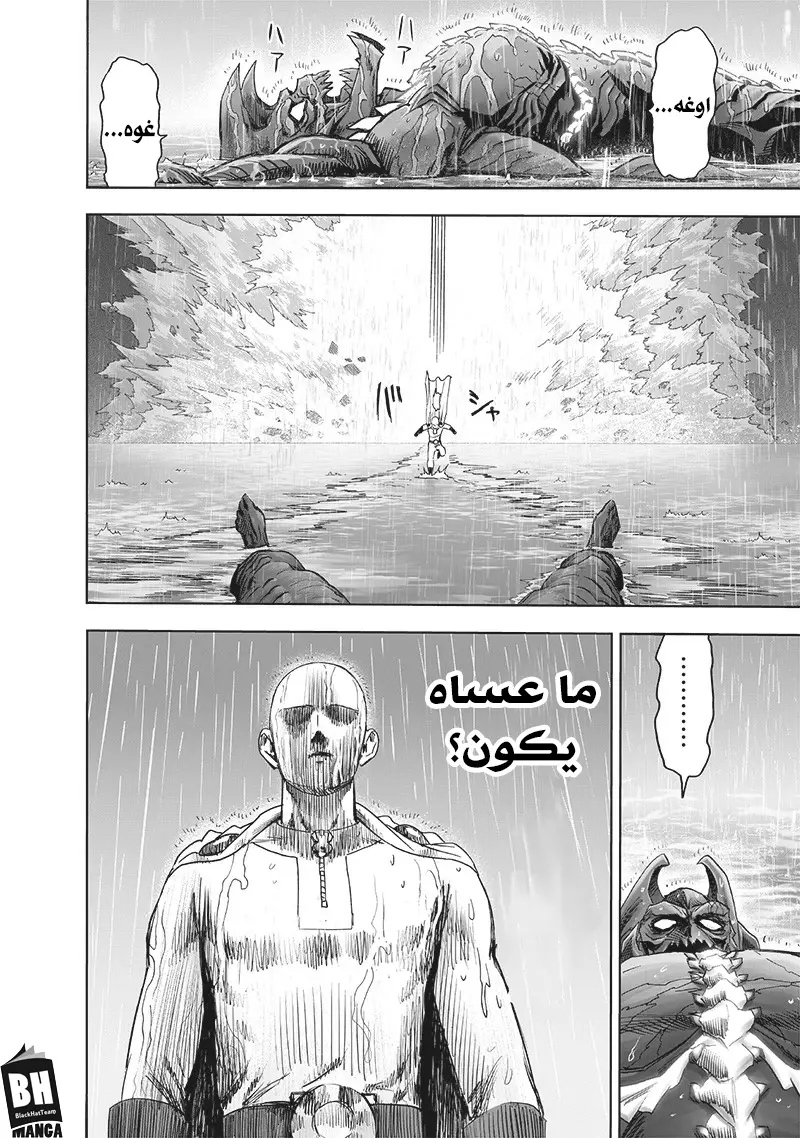 One punch Man: Chapter 164.1 - Page 26