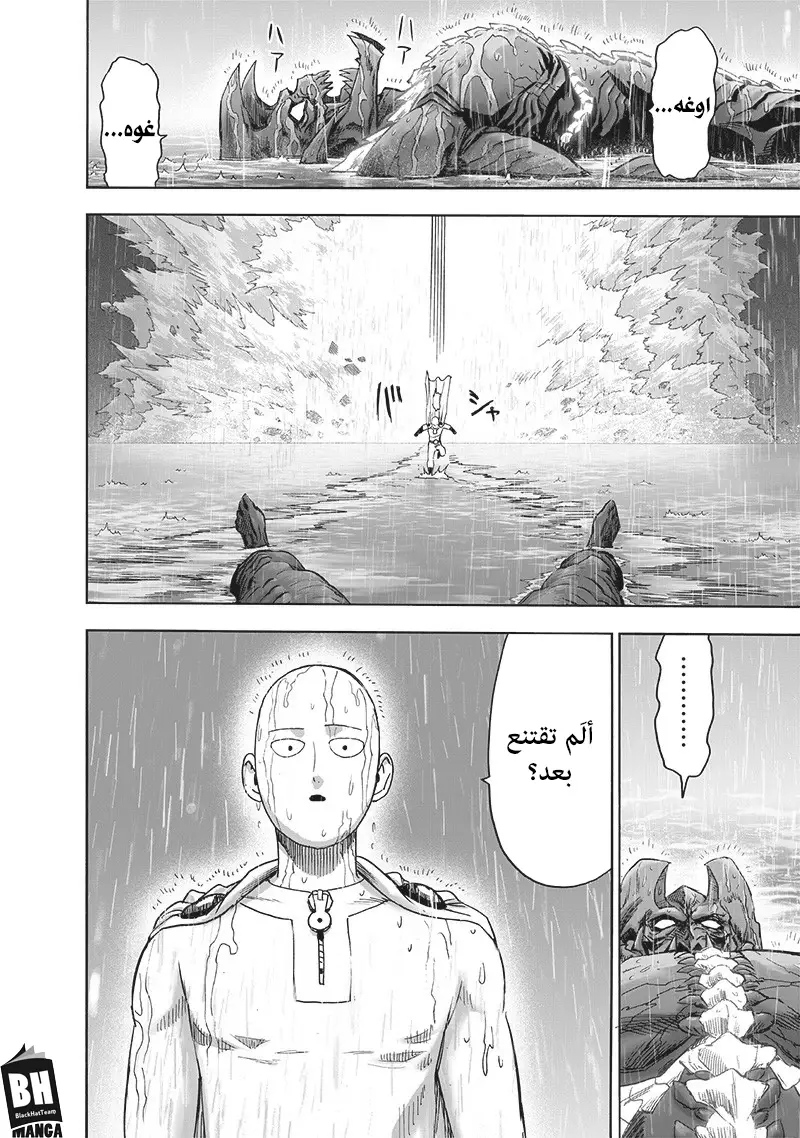 One punch Man: Chapter 164 - Page 29