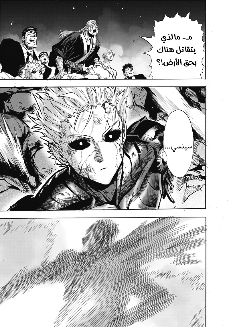 One punch Man: Chapter 165 - Page 13