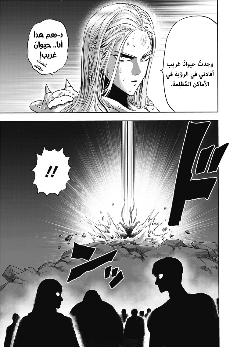 One punch Man: Chapter 165 - Page 29