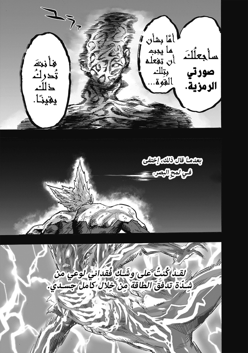 One punch Man: Chapter 165 - Page 40