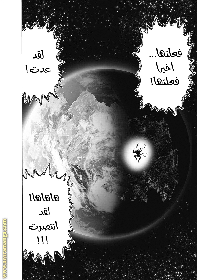 One punch Man: Chapter 168 - Page 29