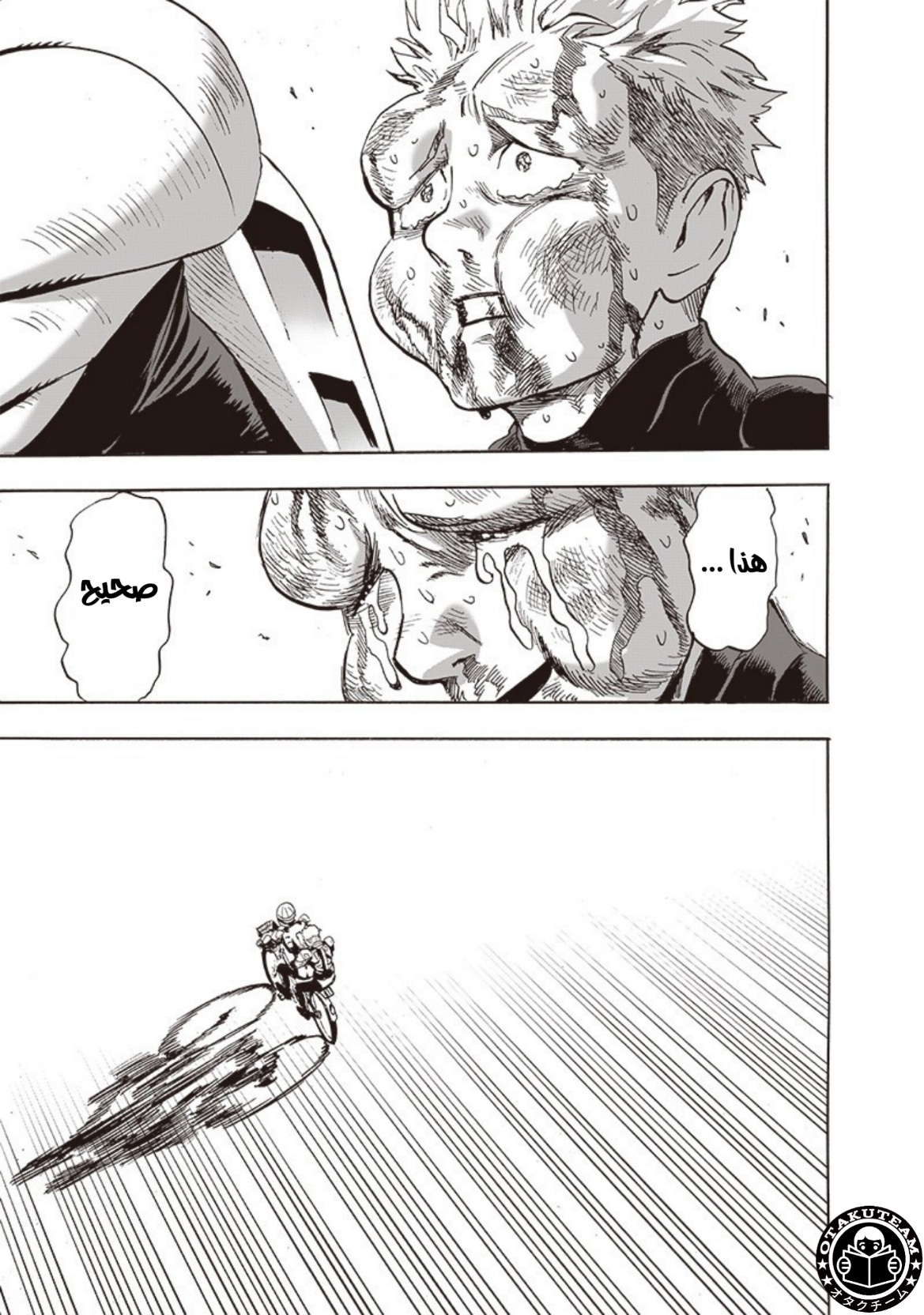 One punch Man: Chapter 187 - Page 37