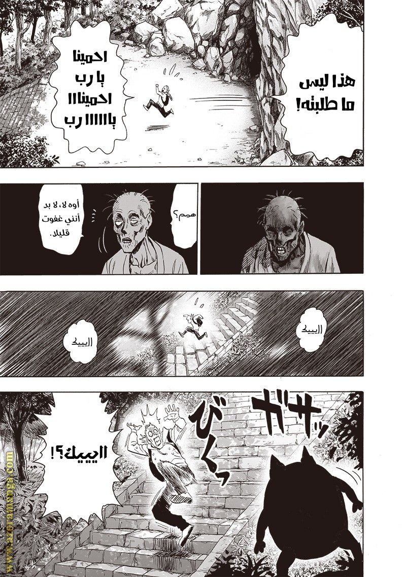 One punch Man: Chapter 192 - Page 24