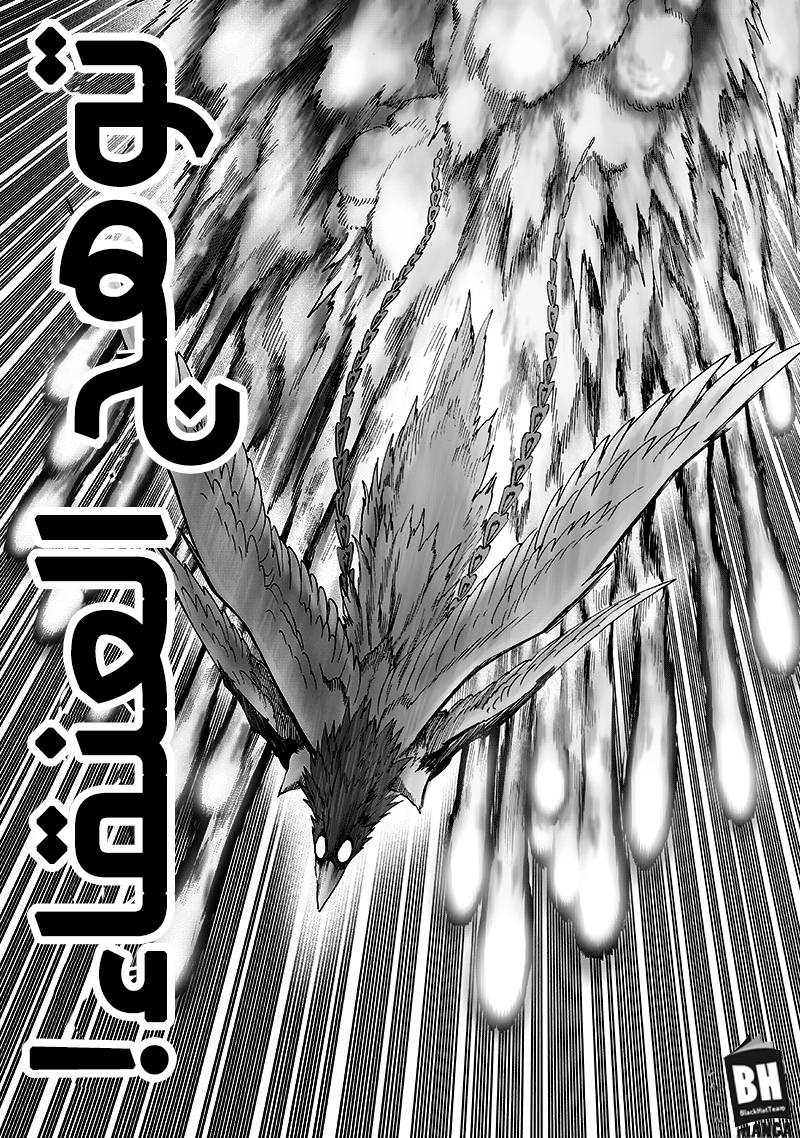 One punch Man: Chapter 99.3 - Page 8