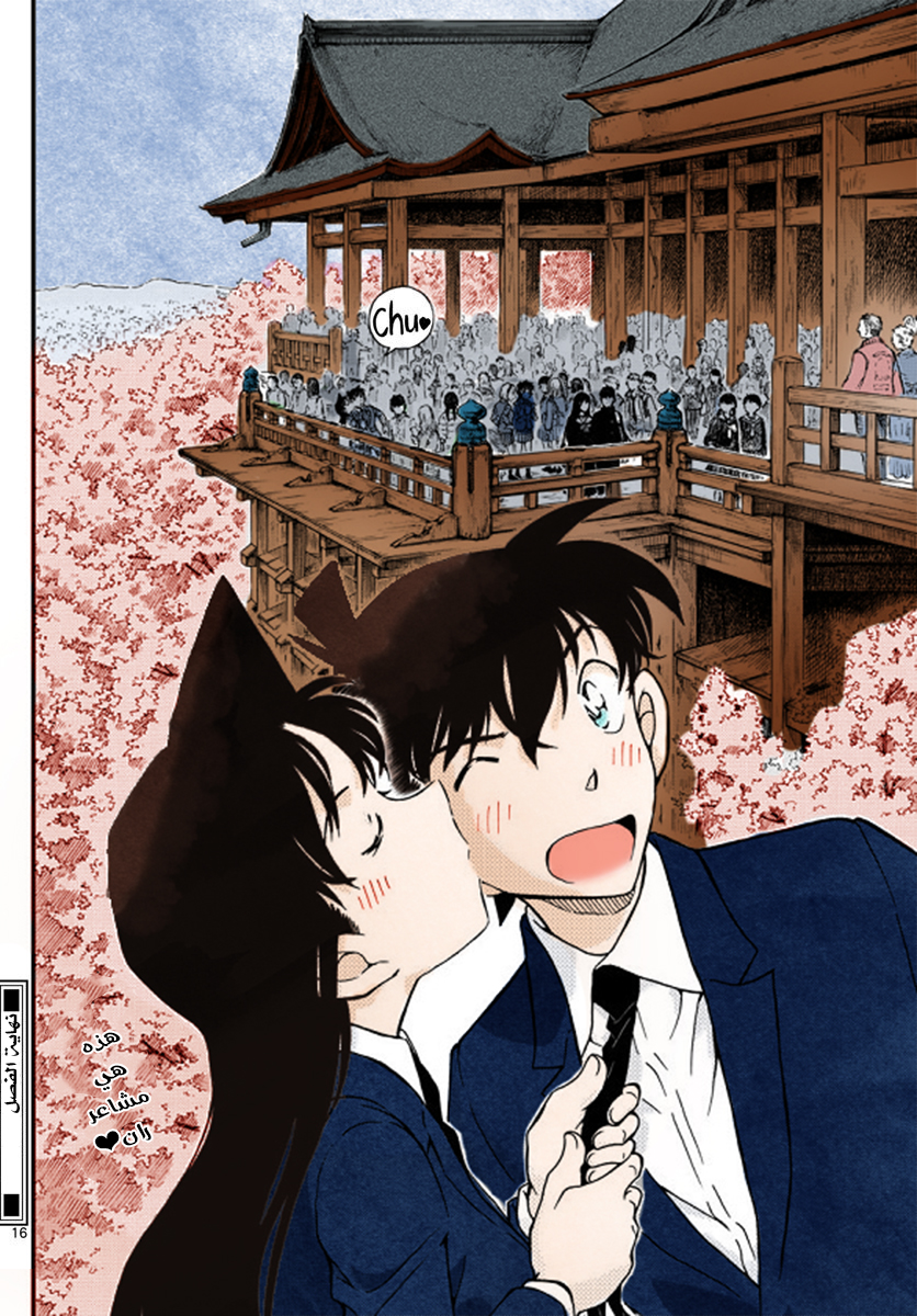 Detective Conan: Chapter 1004 - Page 17