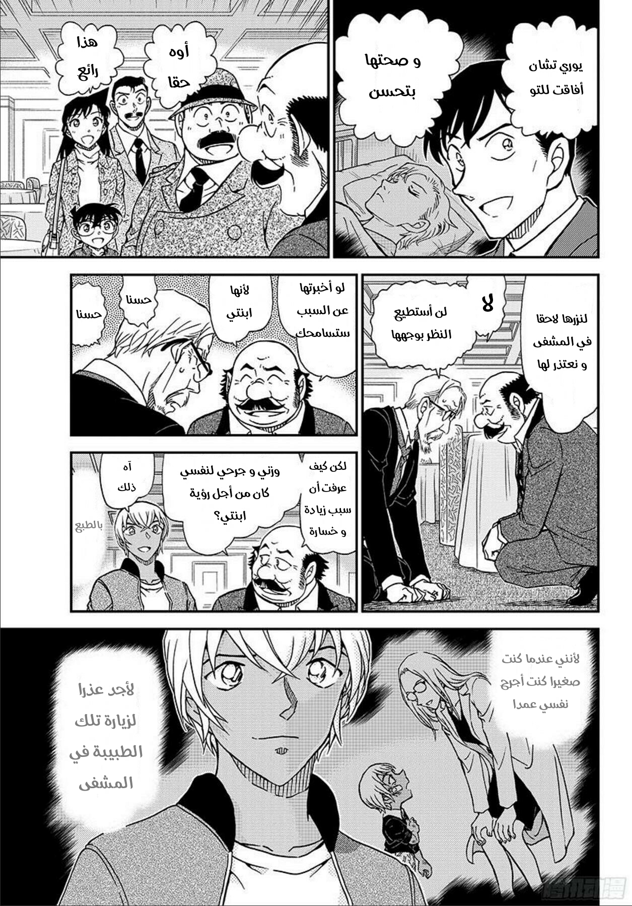 Detective Conan: Chapter 1012 - Page 12