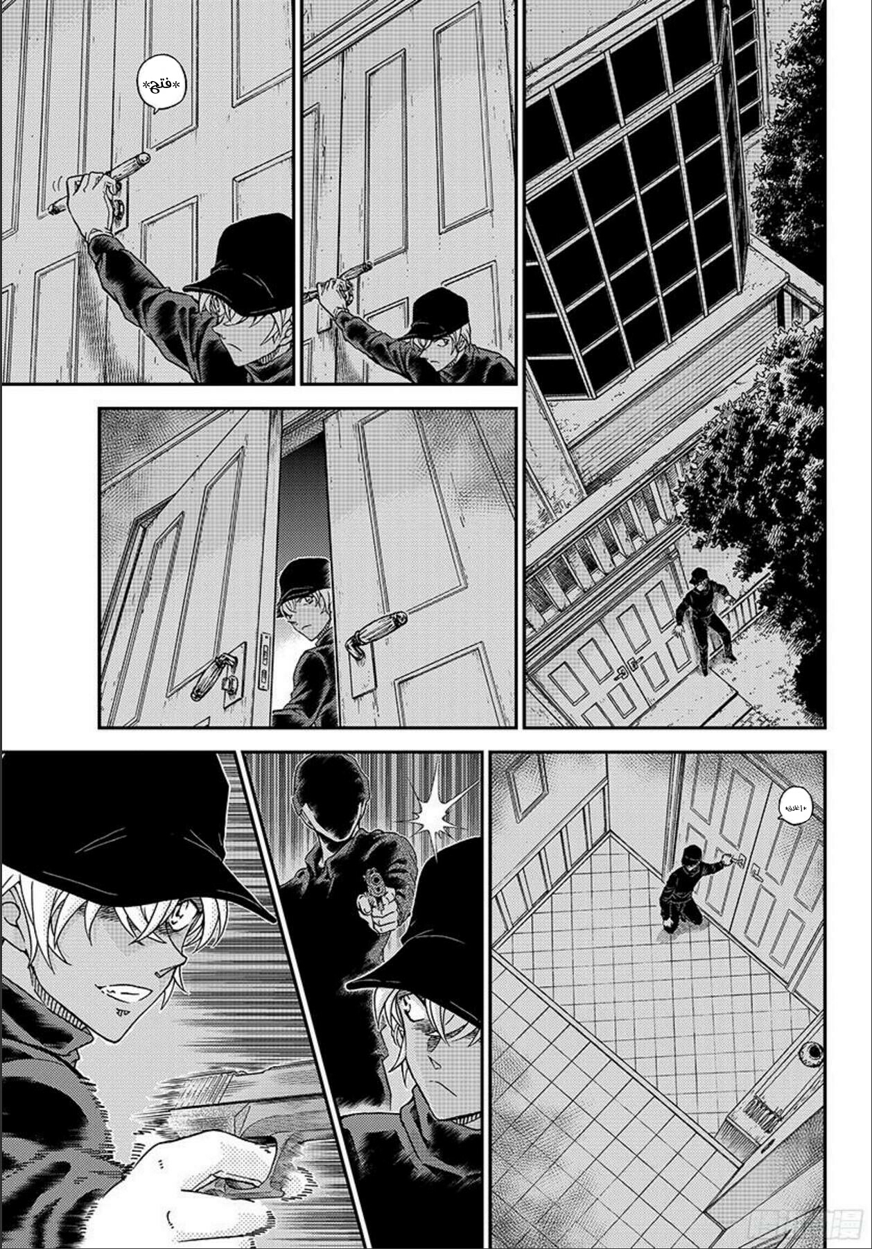 Detective Conan: Chapter 1012 - Page 14