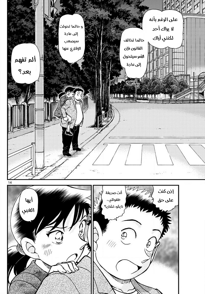 Detective Conan: Chapter 1017 - Page 14
