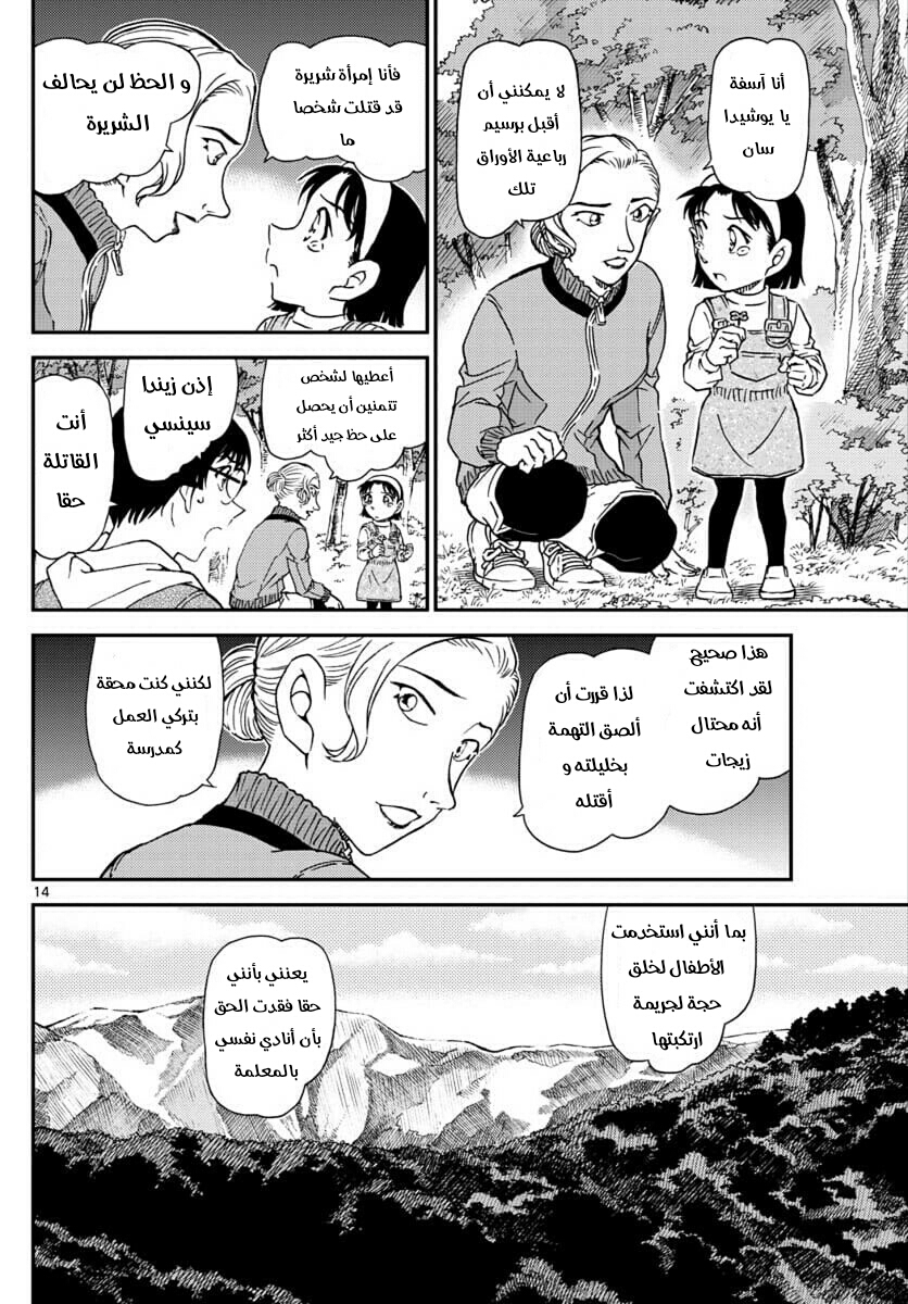 Detective Conan: Chapter 1034 - Page 14