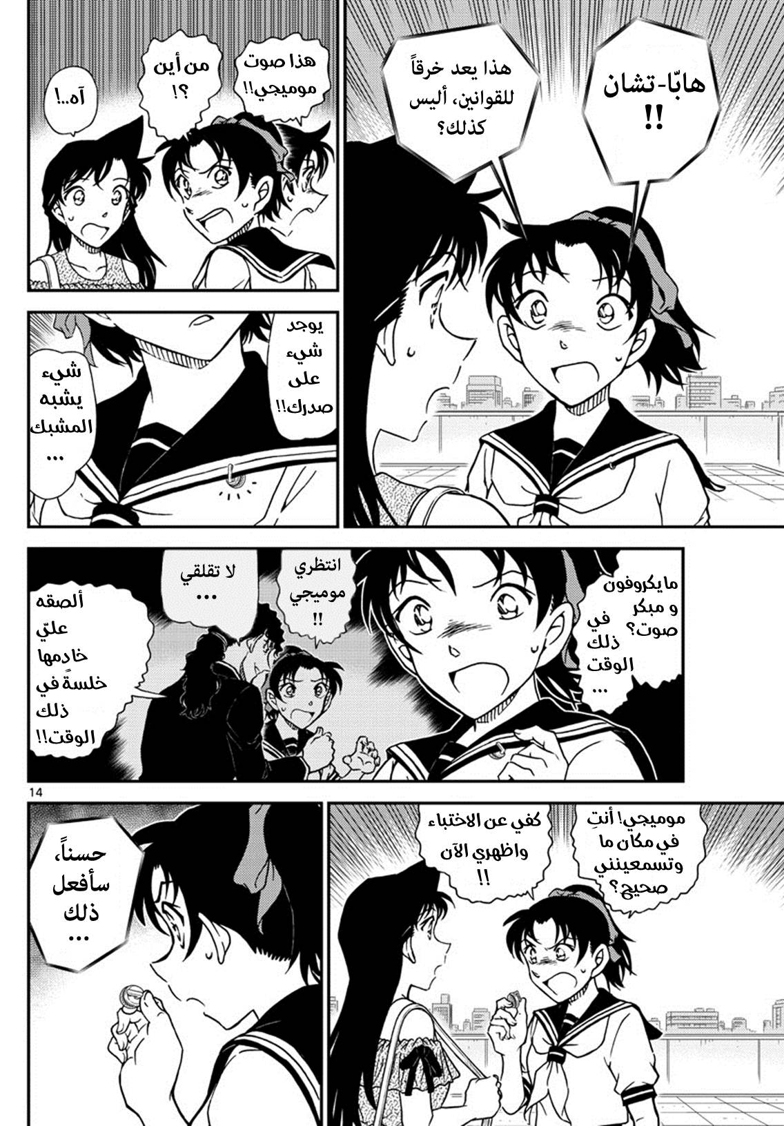 Detective Conan: Chapter 1039 - Page 14