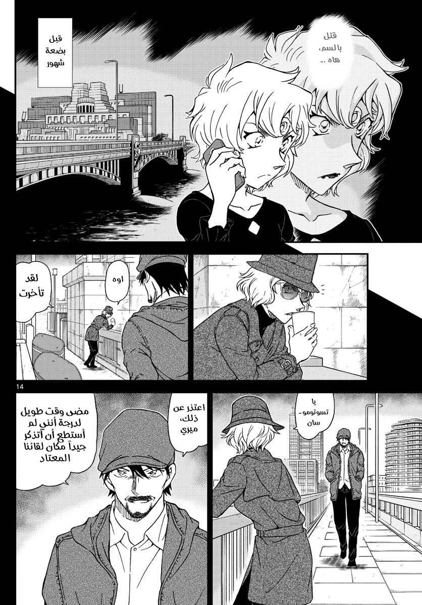 Detective Conan: Chapter 1048 - Page 14