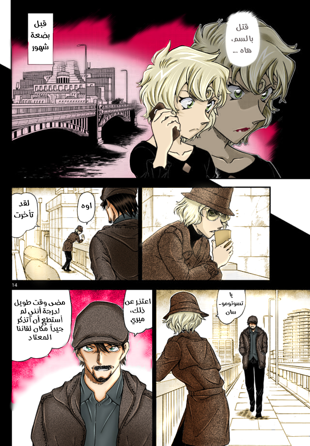 Detective Conan: Chapter 1048 - Page 15