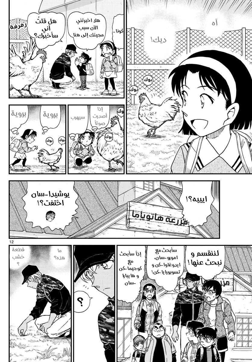Detective Conan: Chapter 1051 - Page 13