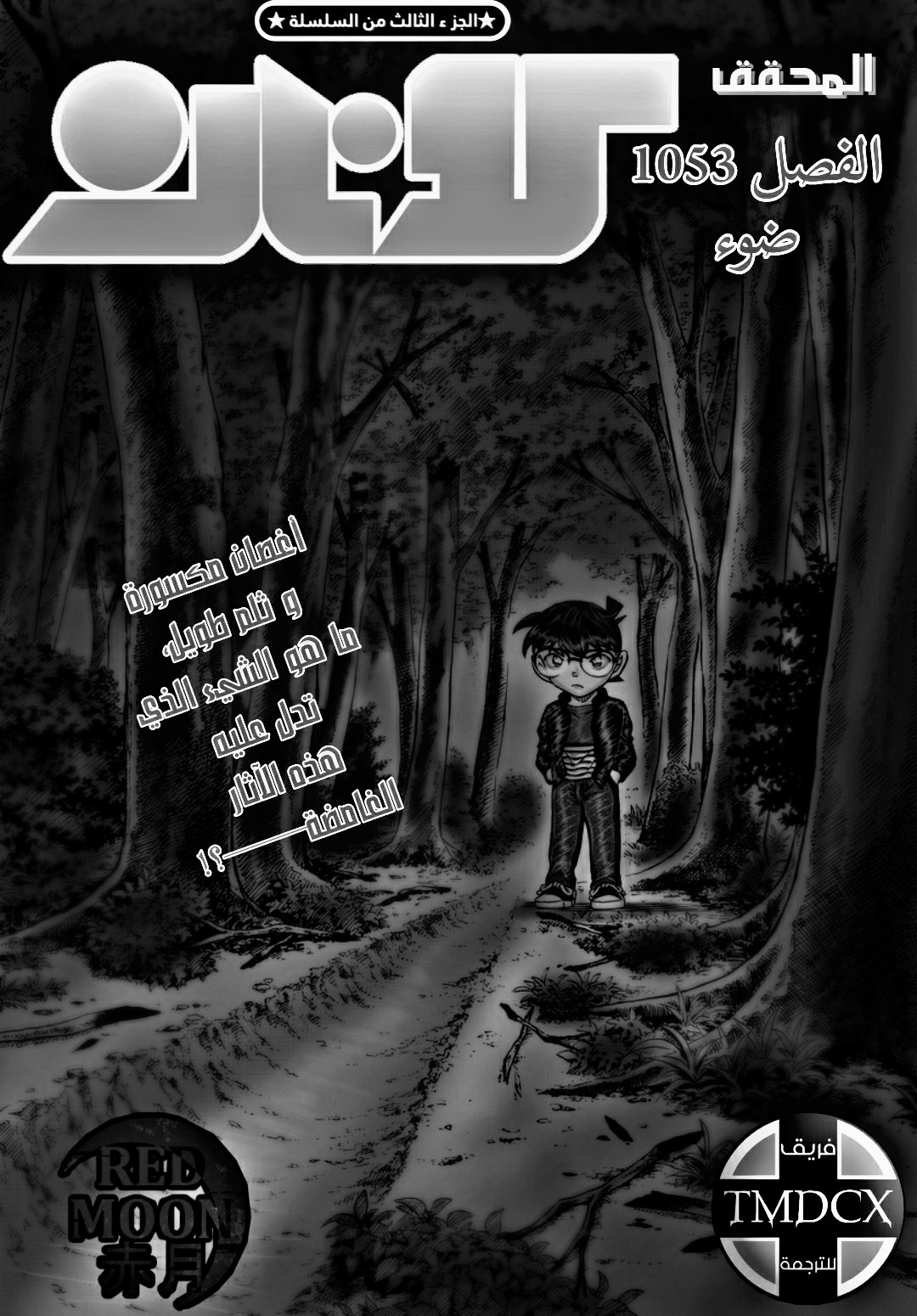 Detective Conan: Chapter 1053 - Page 2