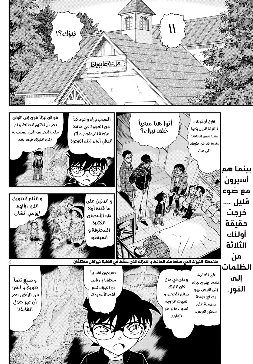 Detective Conan: Chapter 1053 - Page 3