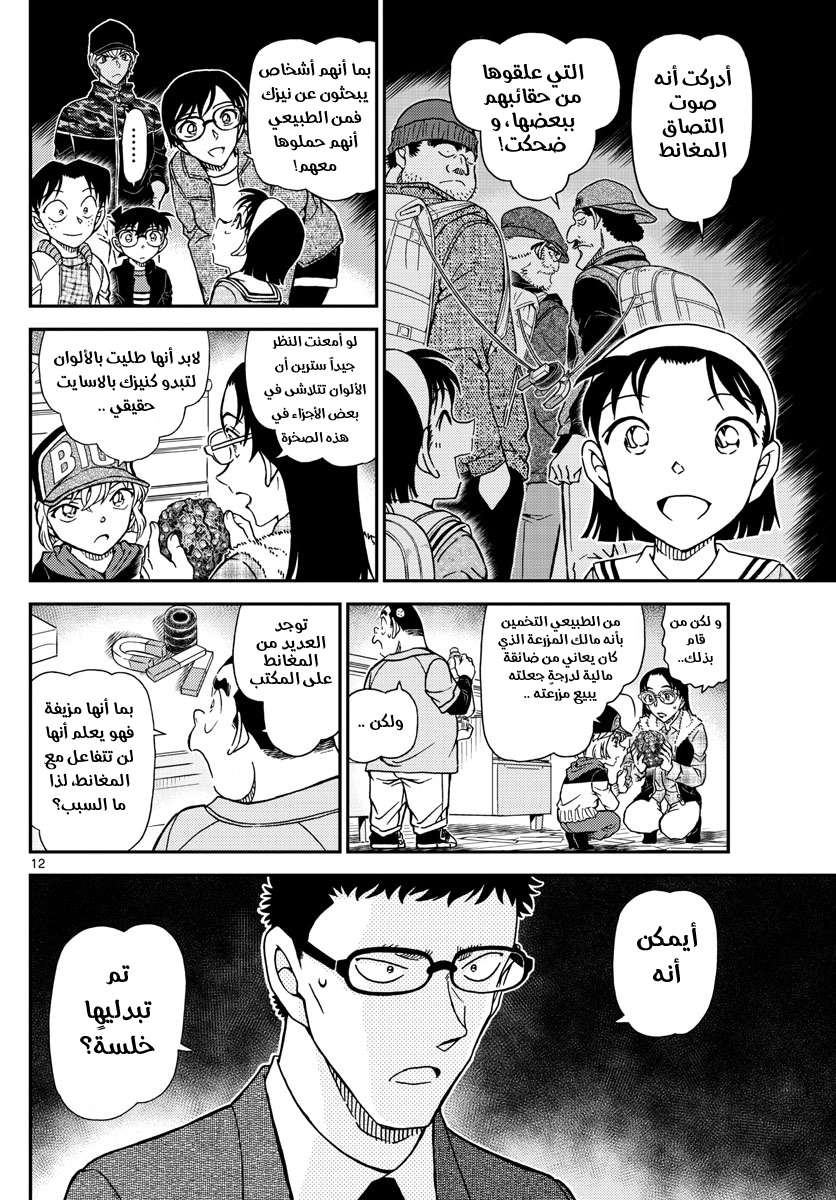 Detective Conan: Chapter 1053 - Page 13