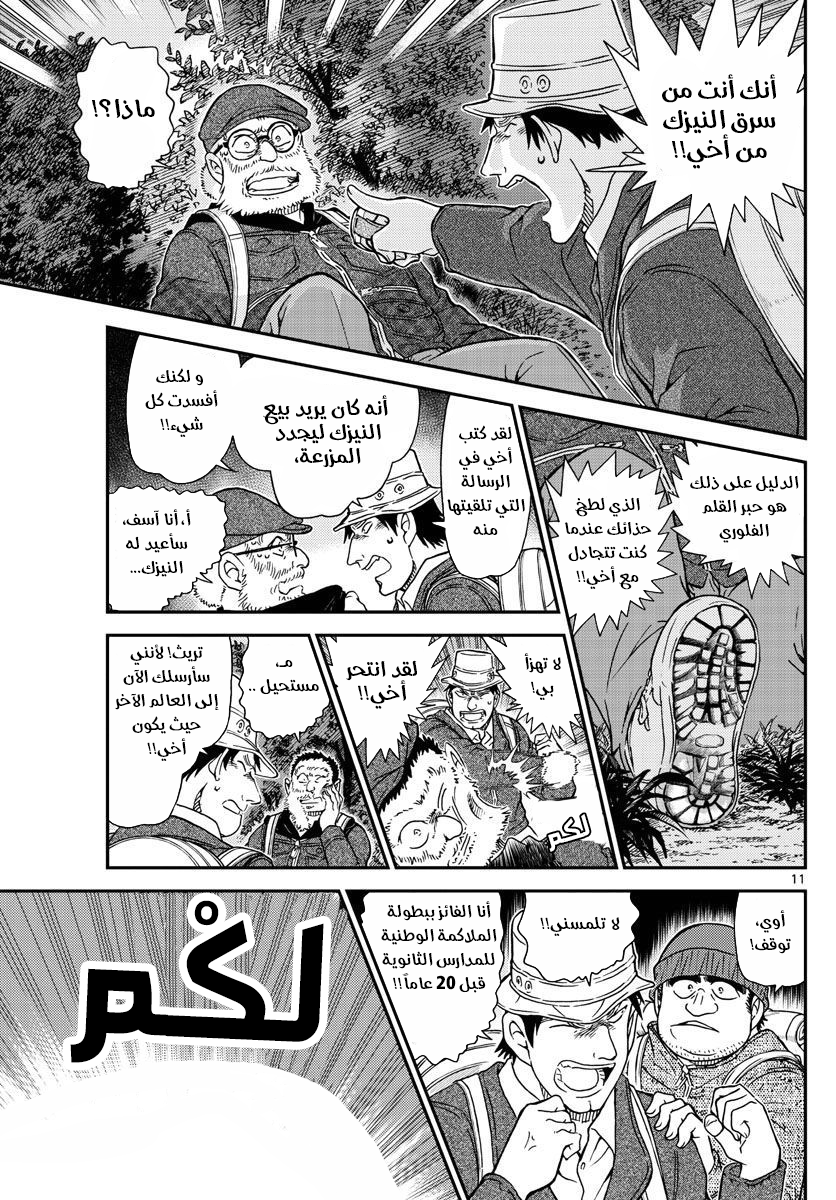 Detective Conan: Chapter 1054 - Page 12