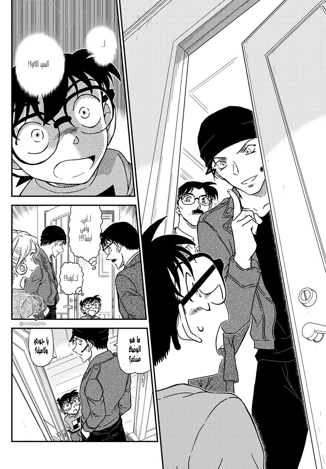 Detective Conan: Chapter 1060 - Page 14