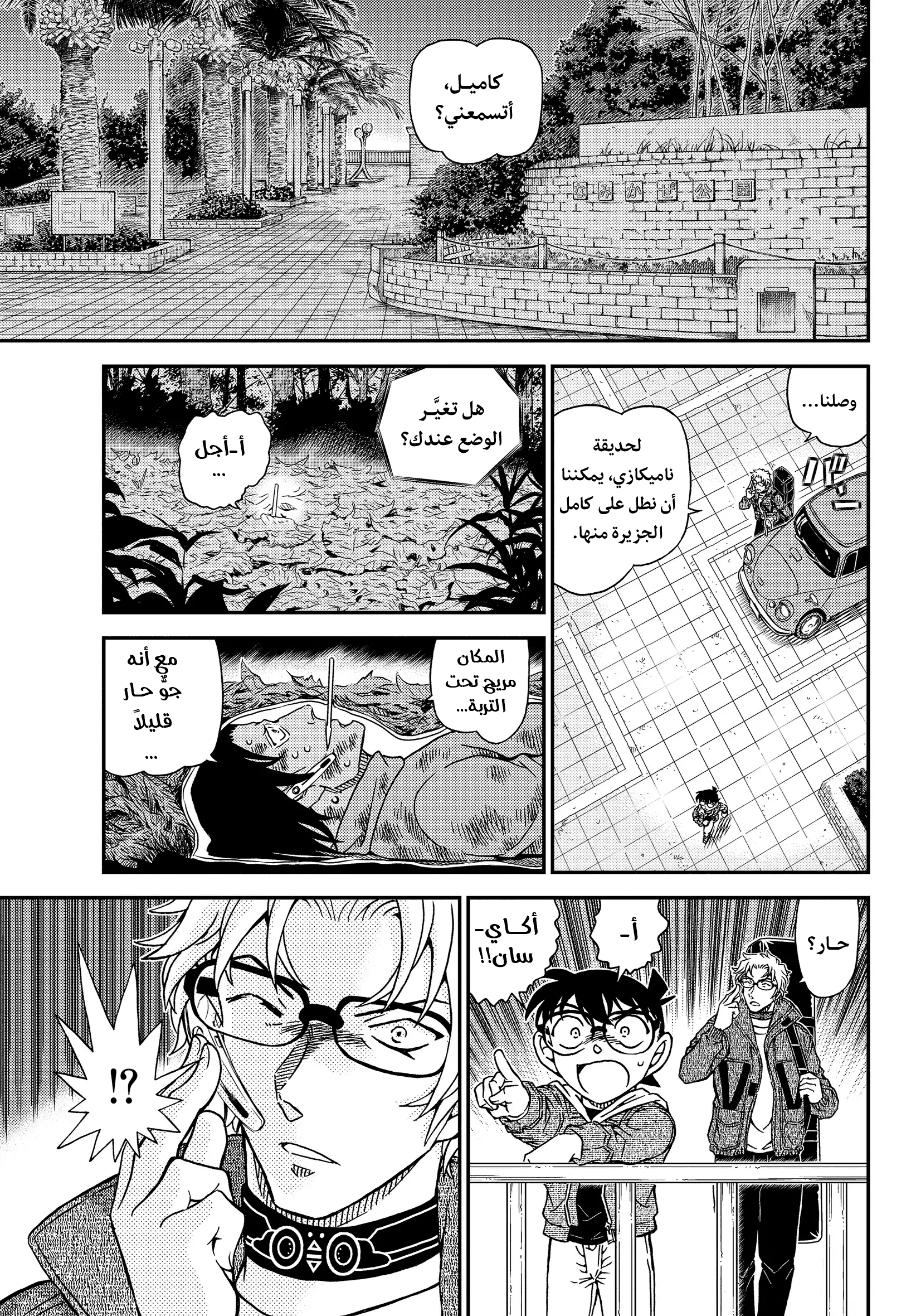 Detective Conan: Chapter 1065 - Page 12