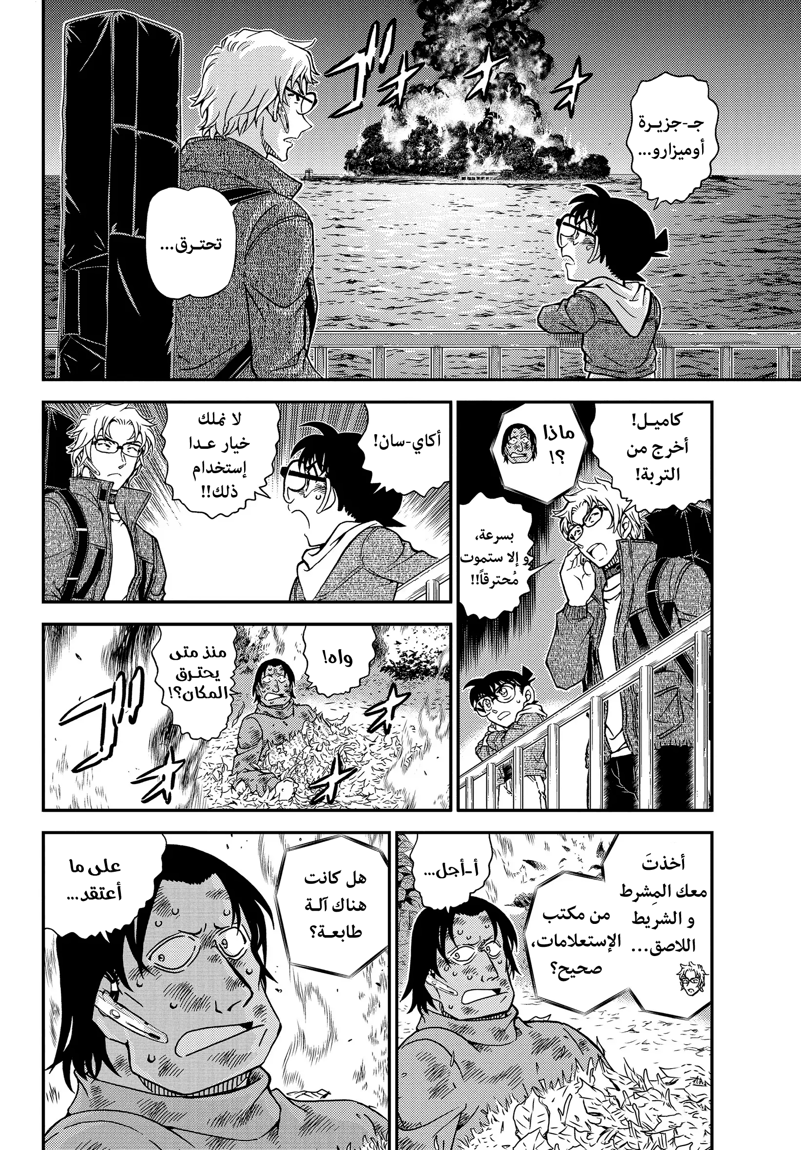 Detective Conan: Chapter 1065 - Page 13