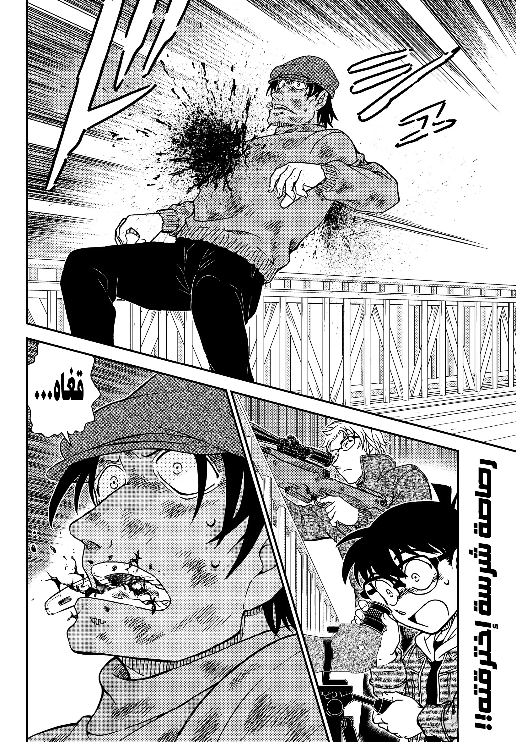Detective Conan: Chapter 1065 - Page 17