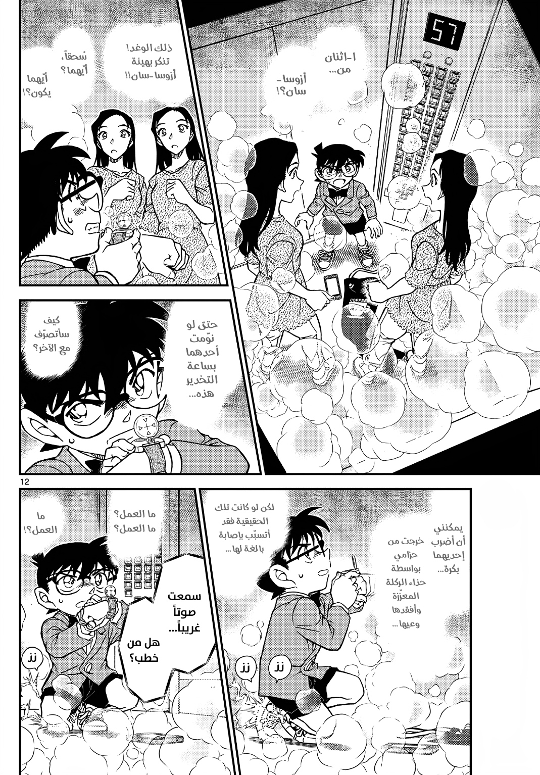 Detective Conan: Chapter 1102 - Page 13