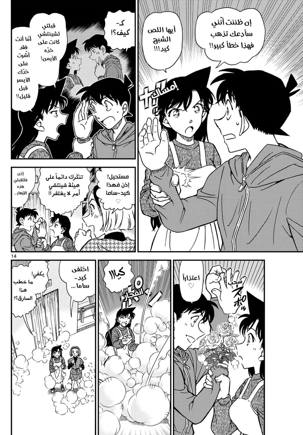 Detective Conan: Chapter 1122 - Page 14