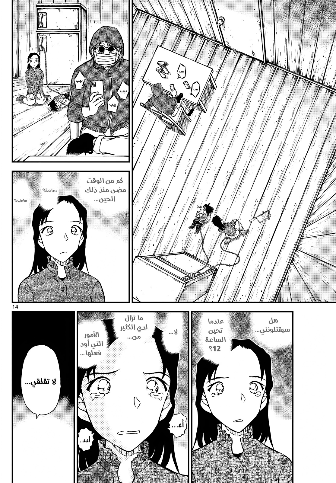 Detective Conan: Chapter 1127 - Page 14