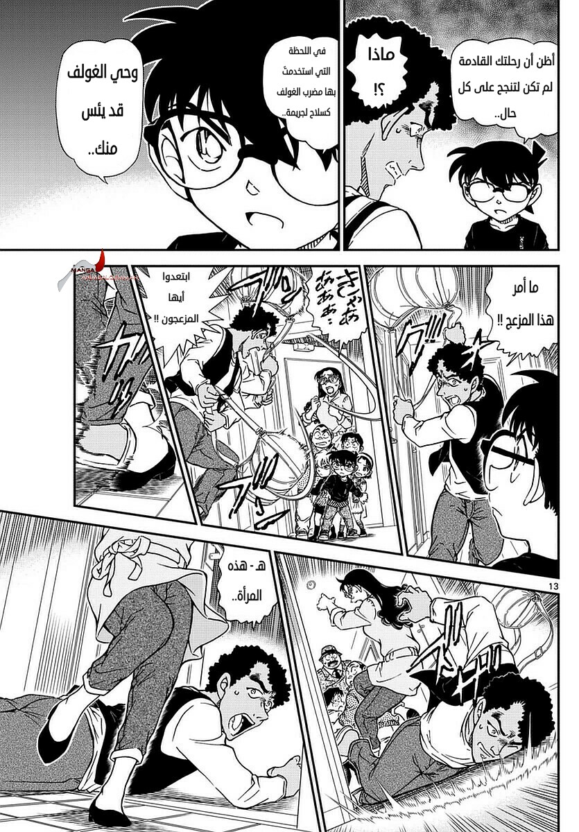 Detective Conan: Chapter 980 - Page 13