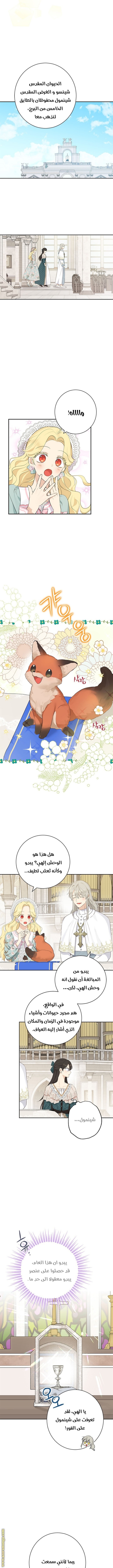 Actually, I Was the Real One: Chapter 64 - Page 4