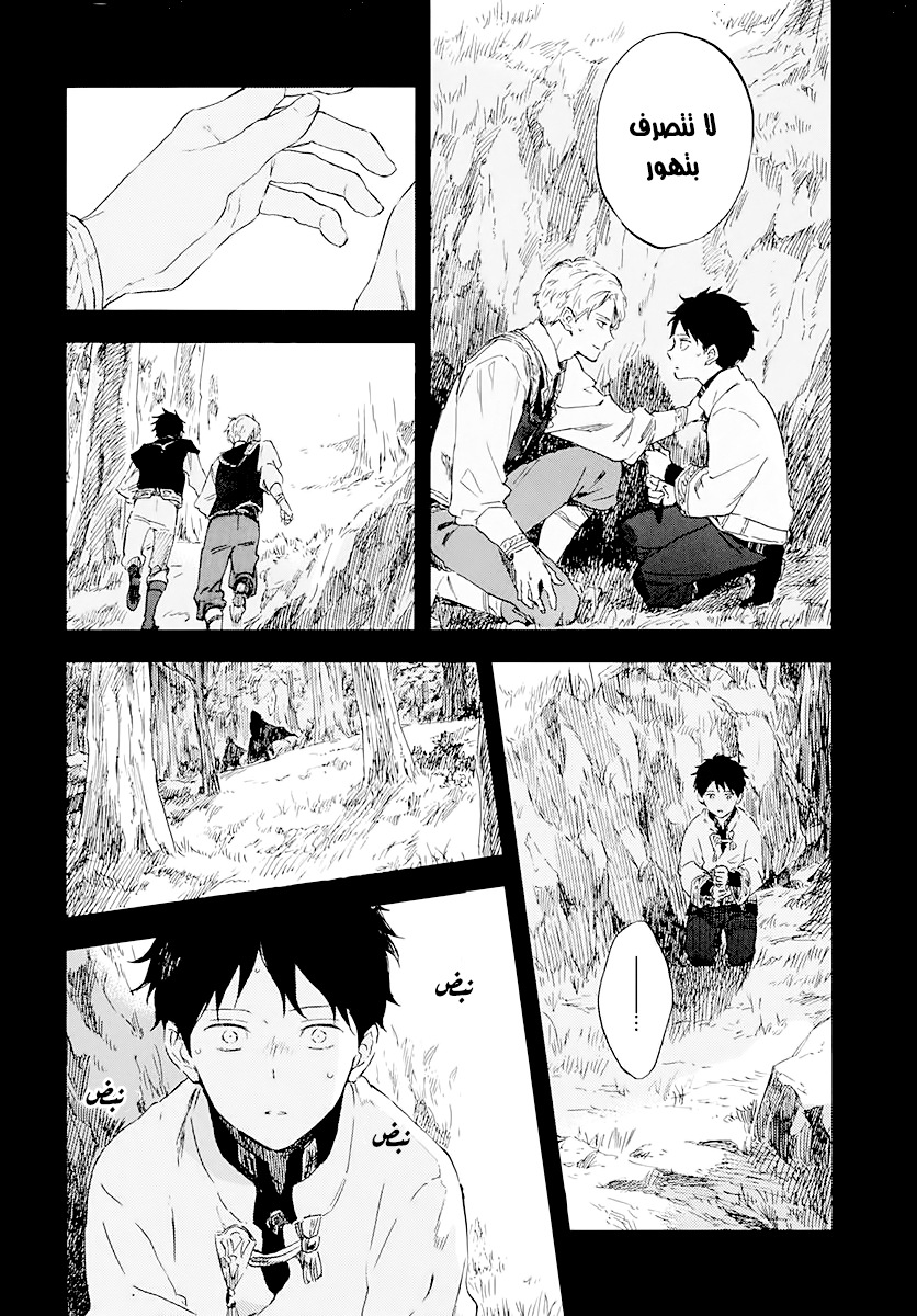 Akagami no Shirayukihime: Chapter 122 - Page 33