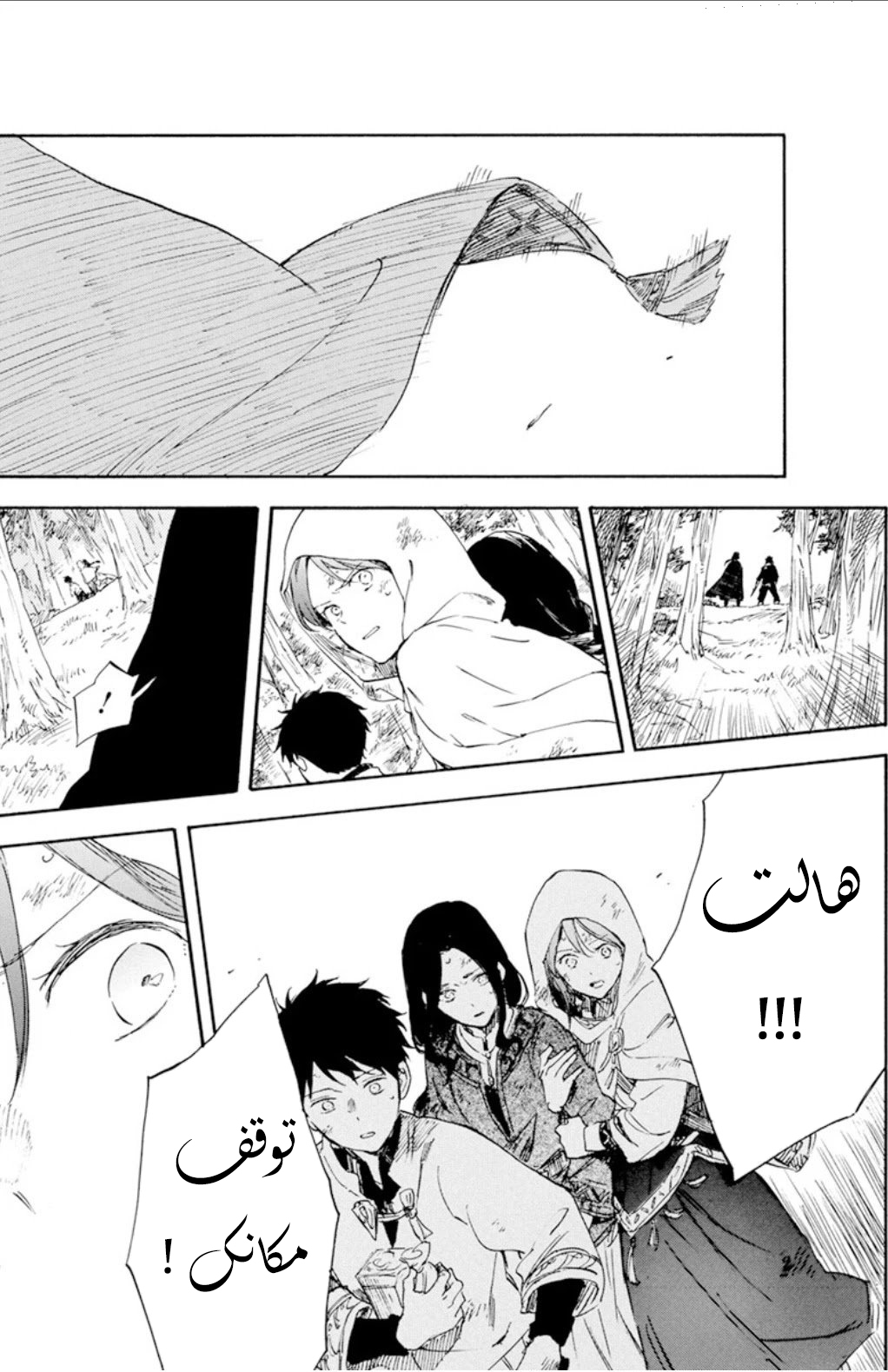 Akagami no Shirayukihime: Chapter 126 - Page 7