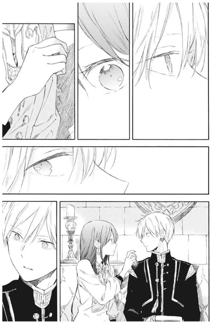 Akagami no Shirayukihime: Chapter 130 - Page 19