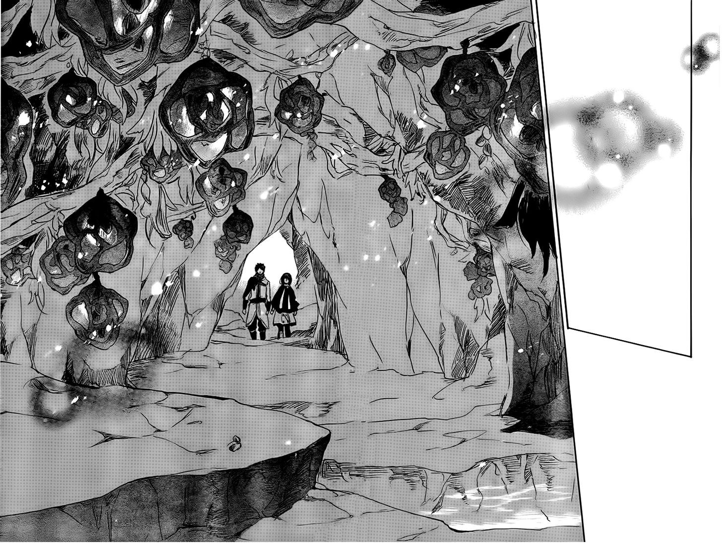 Akagami no Shirayukihime: Chapter 38 - Page 38