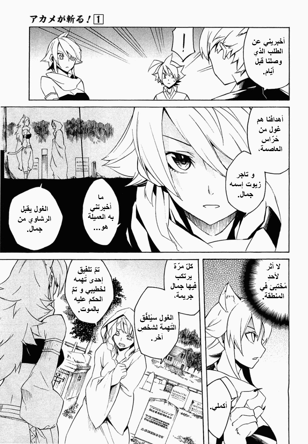 Akame ga Kill: Chapter 03 - Page 12