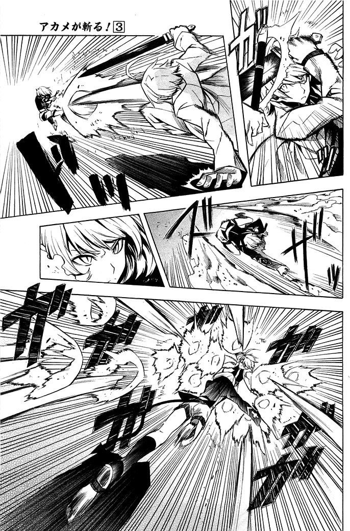 Akame ga Kill: Chapter 13 - Page 12