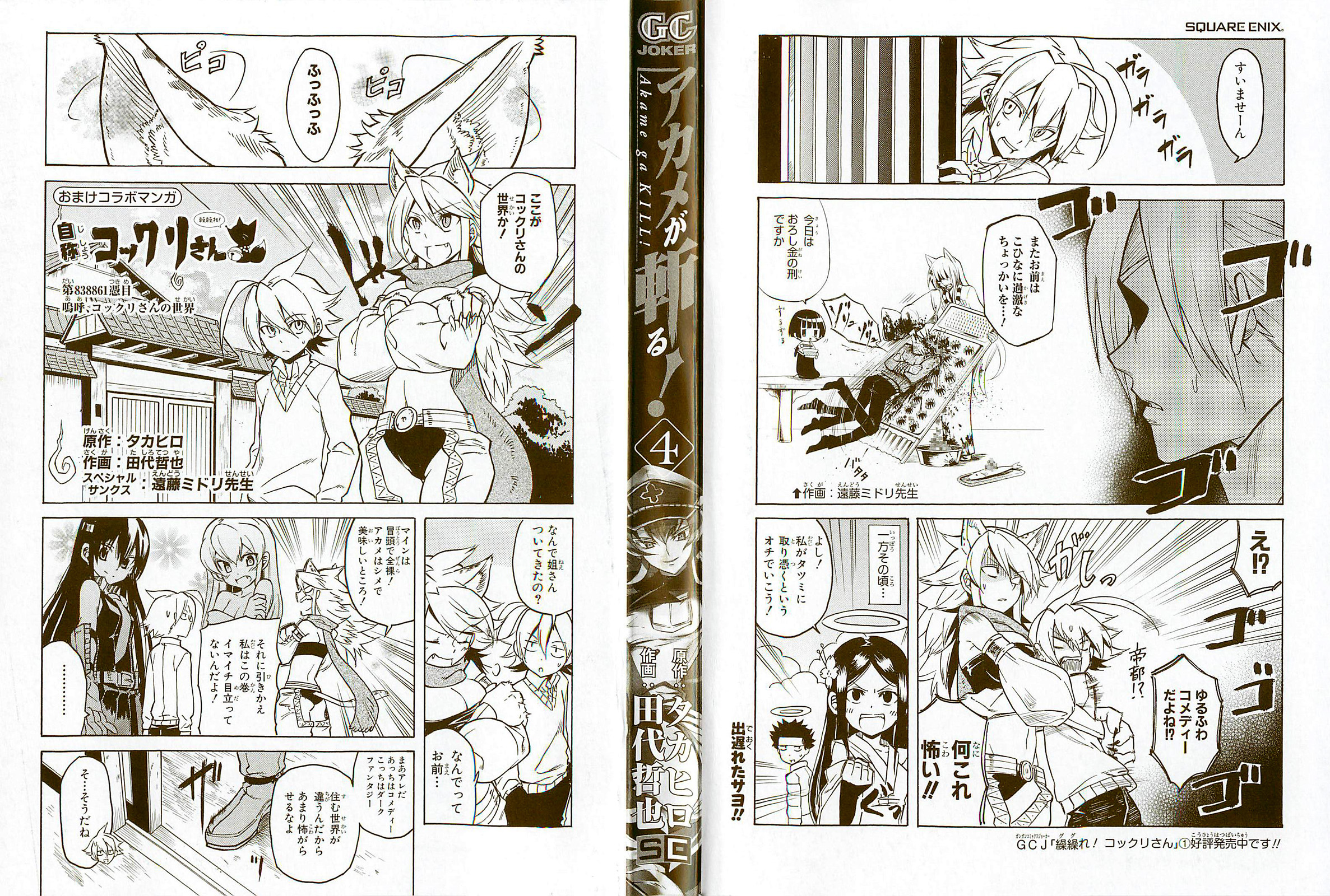 Akame ga Kill: Chapter 15 - Page 3