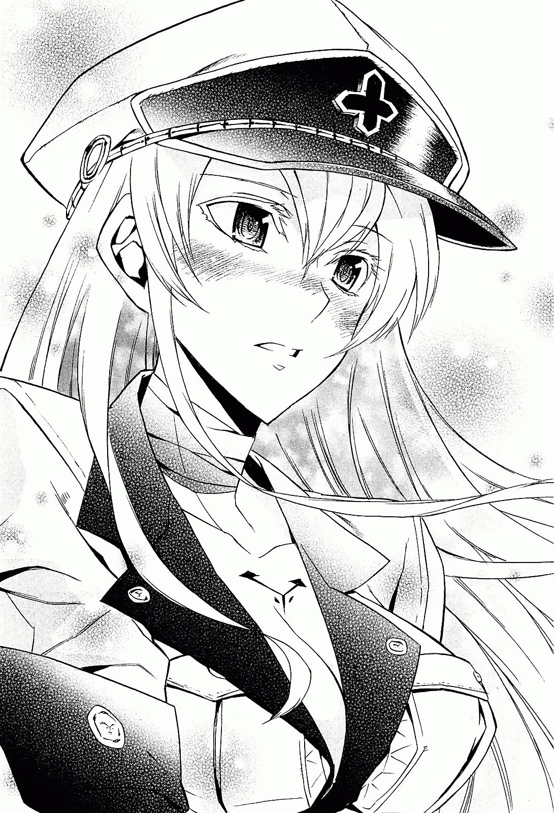 Akame ga Kill: Chapter 16 - Page 38