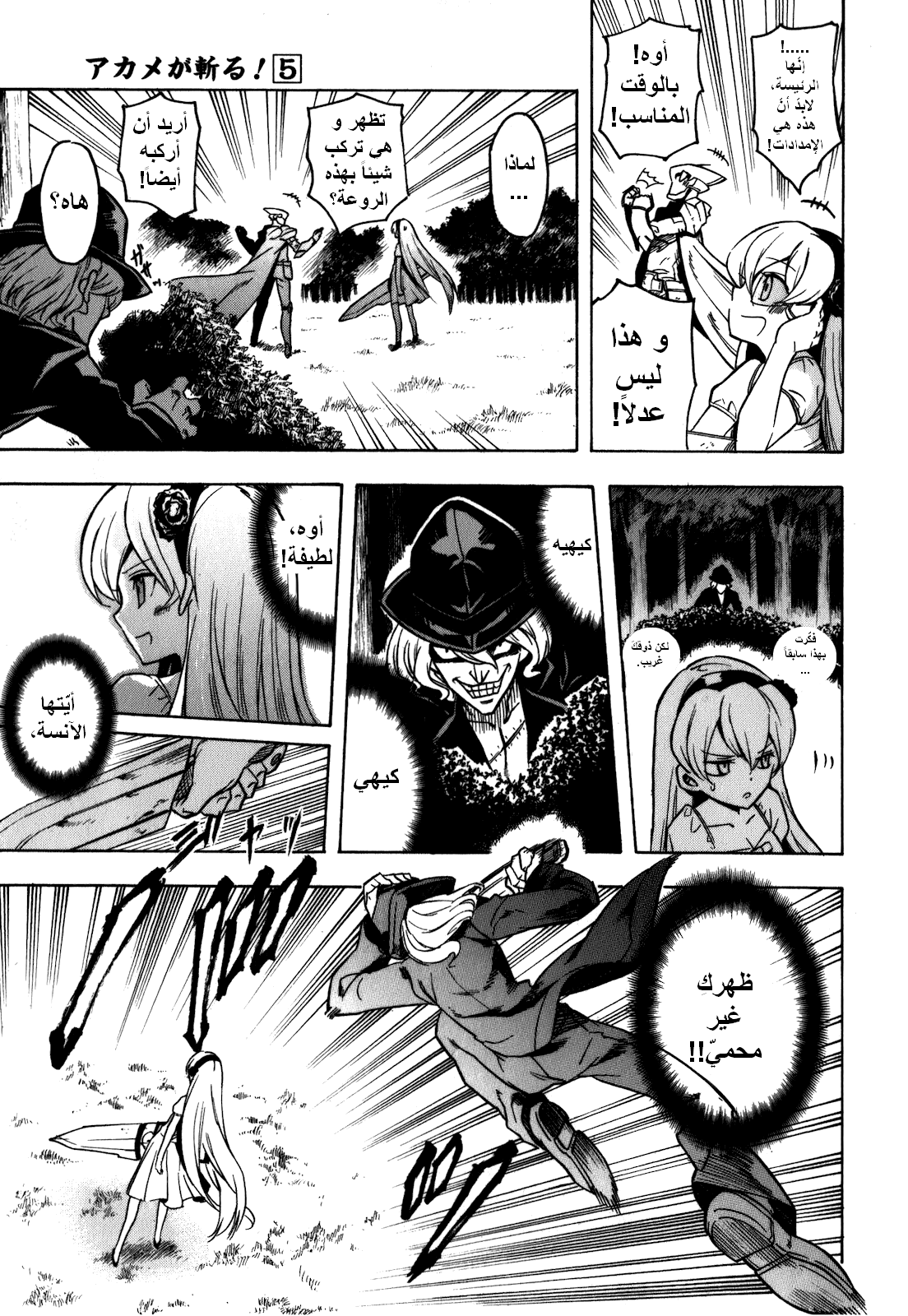 Akame ga Kill: Chapter 21 - Page 10